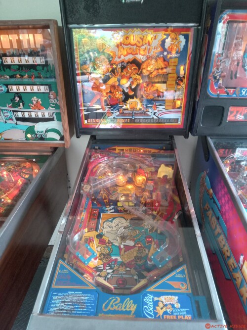3-old-school-pinball-machines.-Richard-Blank-Costa-Rica-Collection9ac4e405a9dd0623.jpg