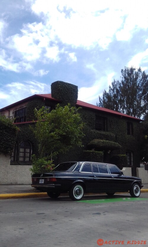 COSTA-RICA-MANSION.-SAN-JOSE-LIMOUSINE-LANG1a9289f401002877.jpg