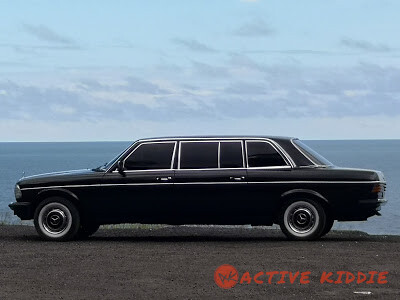 COSTA-RICA-OCEAN-VIEW.-MERCEDES-300D-LIMO526a1f0fbe59ebed.jpg