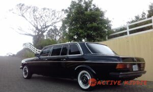 COSTA-RICA-PRIVATE-ESTATE-LIMOUSINE-SERVIVCE3ac4dfbf9cd1381e.jpg