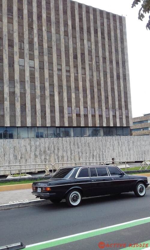 La-Corte-Suprema-de-Justicia-de-Costa-Rica-LIMUSINA20be8472d3d25ad1.jpg