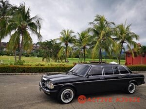La-Iguana-Golf-Course.-LOS-SUENOS-COSTA-RICA-MERCEDES-300D-LIMOUSINE252726d15de8411f.jpg