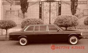 MERCEDES-BENZ-LIMUSINA-SAN-JOSE-COSTA-RICA-1-300x1802b2a0de06b9e5351.jpg
