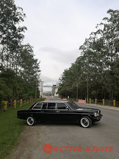 MERCEDES-LIMOUSINE-300D-W12.-.Holcim-Costa-Rica-S.A.67114d9a3c2876c1.jpg