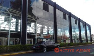 la-Casa-del-cuno-COSTA-RICA-LIMOUSINE1f7495b2c8174517.jpg